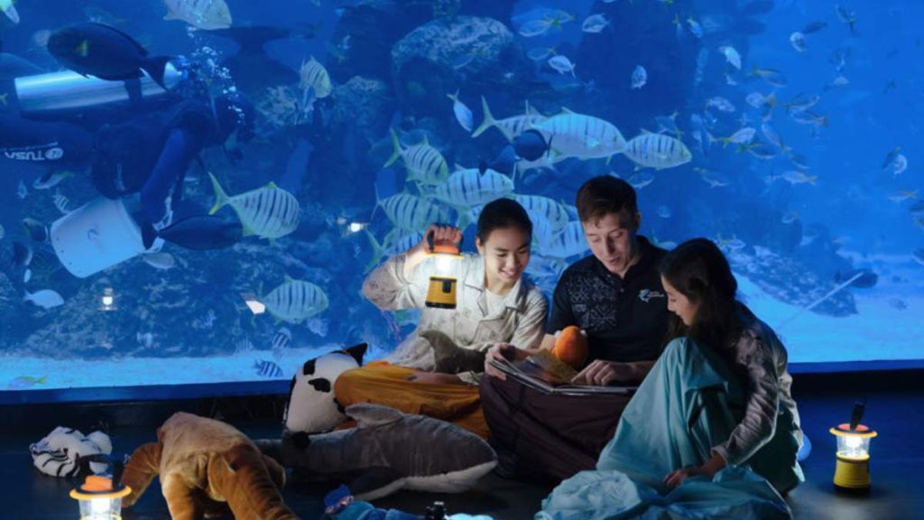 Family Holiday at Jakarta Aquarium