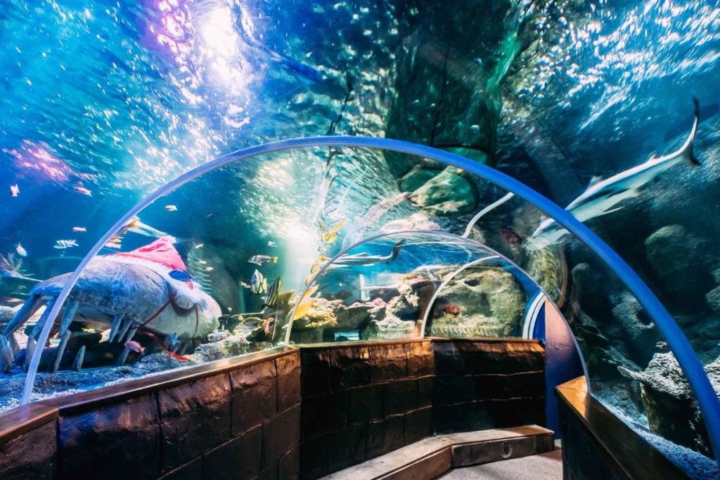 Jakarta Aquarium