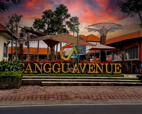 Canggu Avenue Bali